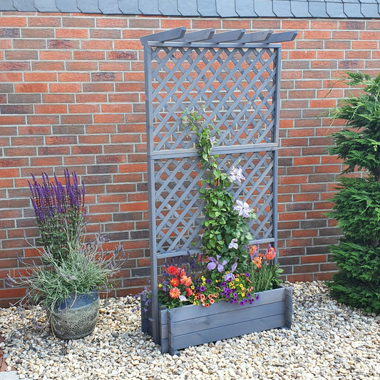 Rankkasten mit Pergola 102/200, grau
