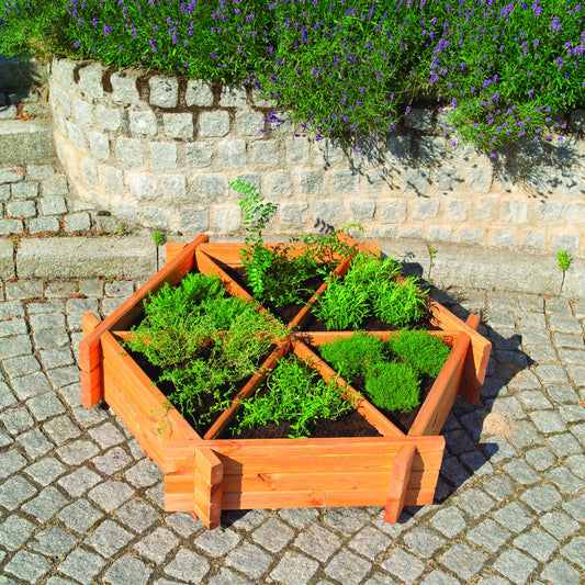 Kräuterhexagon "Julia"