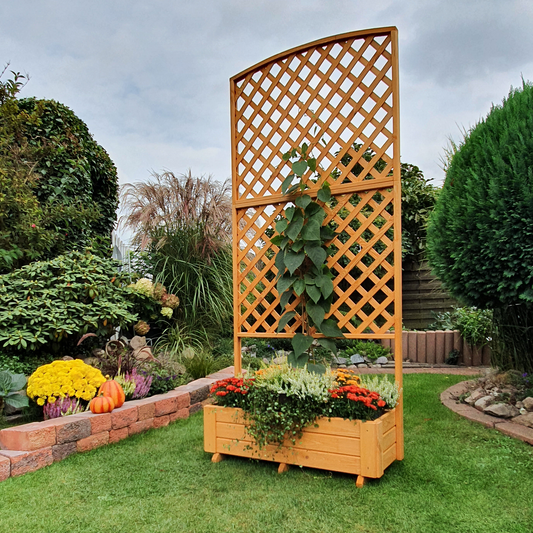 Rankkasten "Flora" 205 cm