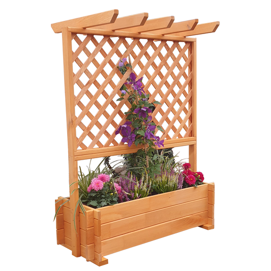 Rankkasten mit Pergola